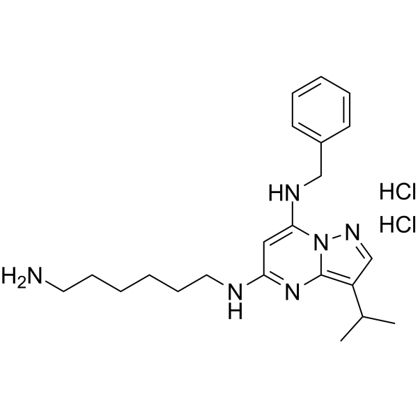 BS-181 dihydrochloride 1883548-83-1